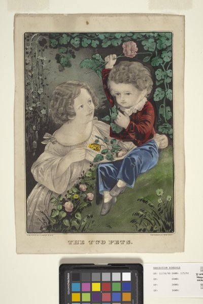 Kaksi lemmikkiä (käsinvärinen litografia) tekijältä N. and Ives J.M. (1824 95) Currier