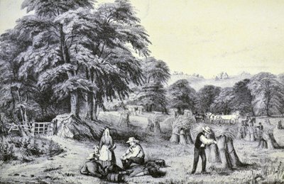 Currier & Ives -kuvitus 1800-luvulta. Sato tekijältä N. and Ives, J.M. Currier