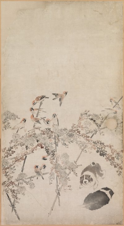 Pennut, varpuset ja krysanteemit, 1754-1799. tekijältä Nagasawa Rosetsu