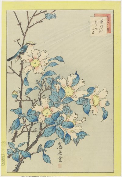 Sininen lintu ja vaaleanpunaiset kukat, 1859 (värillinen puupainatus) tekijältä Nakayama Sugakudo