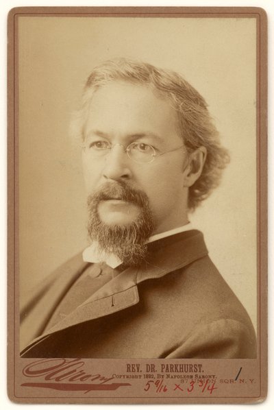 Charles Henry Parkhurst tekijältä Napoleon Sarony