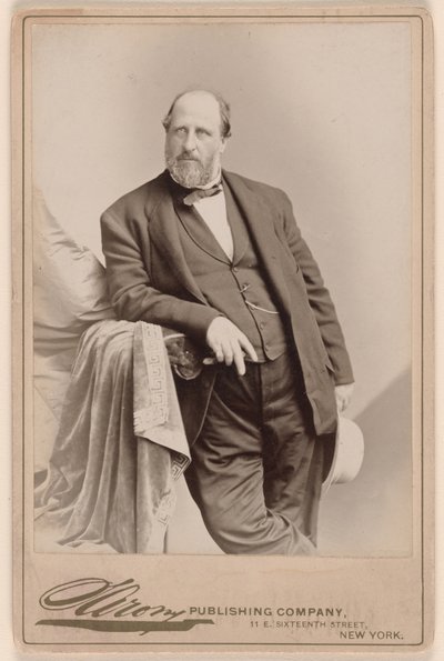 William Marcy Tweed tekijältä Napoleon Sarony