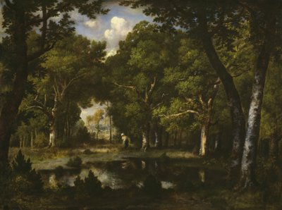 Pond in the Woods, 1862. tekijältä Narcisse Virgile Diaz de la Peña