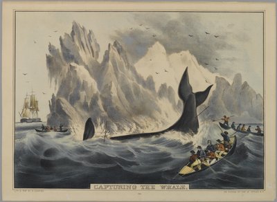 Valaan vangitseminen (käsinvärinen litho) tekijältä Nathaniel Currier