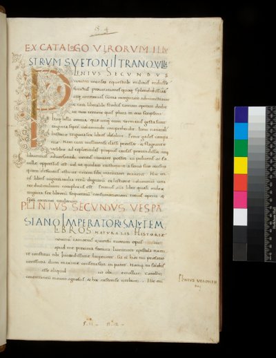 Ms 394,1. Plinius Vanhin, Historia naturalis, f.1r. Valaistu nimikirjain [P] valkoisella viiniköynnösvarren koristelulla (viimeistelemätön), Napoli, 1400-luvun puoliväli, n. 1442 (pergamentti) tekijältä Neapolitan School