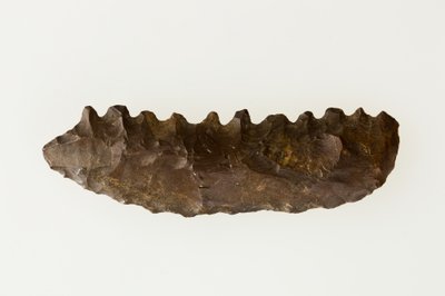Bifacial sirppi, noin 4500–4000 eKr. (piikivi) tekijältä Neolithic Neolithic