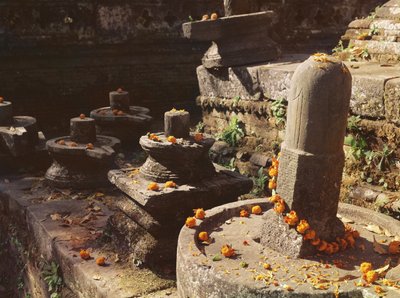 Shiva lingamit Pashupatinathin temppelissä tekijältä Nepalese School