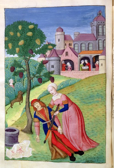 Ms 324 f.44 v. Alcithoe, Pyramus ja Thisbe, Mulperipuu muuttaa väriä, Ovidiuksen Metamorphoses, 1479 tekijältä Netherlandish School