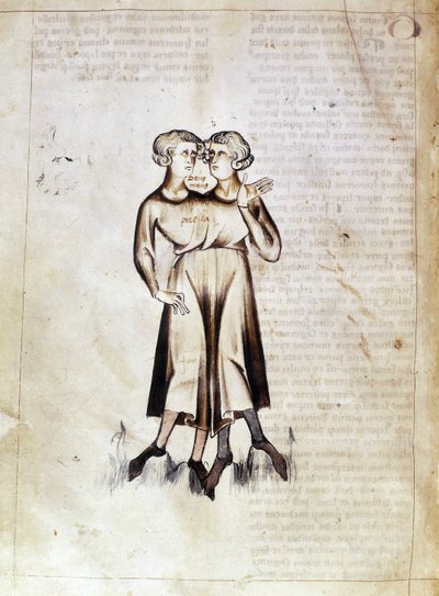 Sloane 3983 f.8v Piirustus Kaksosista, Jafar ibn Muhammadin (vellum) persialaisen astrologisen tutkielman käännöksestä tekijältä Netherlandish School