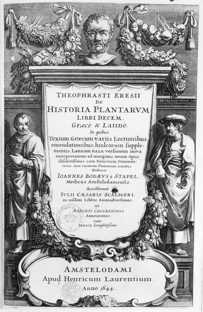 Amsterdamissa vuonna 1644 julkaistun Theophrastoksen (n. 372-287 eKr.) Historia Plantarum Libri Ten -julkaisun nimisivu tekijältä Netherlandish School
