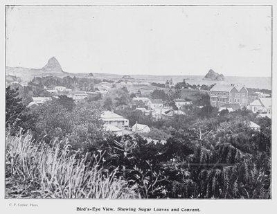 New Plymouth, Uusi-Seelanti: lintuperspektiivistä, sokerileipiä ja luostari (m/w kuva) tekijältä New Zealand Photographer