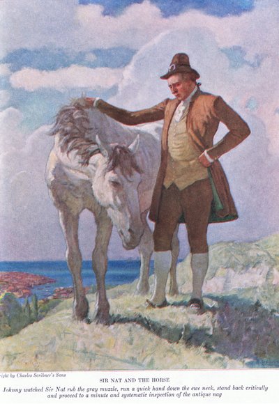 Sir Nat ja hevonen: Johnny näki Sir Natin hierovan harmaata kuonoa; seiso taaksepäin ja jatka hetkelliseen ja järjestelmälliseen tarkastukseen, 1928 tekijältä Newell Convers Wyeth