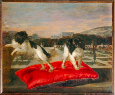 Kaksi pientä koiraa italialaisen puutarhan terassilla - Two small dogs on the terrace of an italian garden ... tekijältä Nicasius (1620 78) Bernaerts