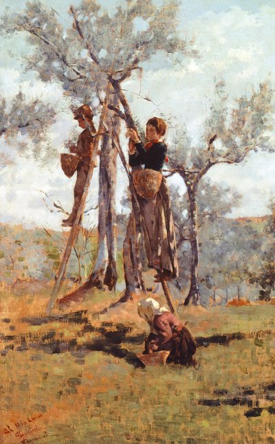 Oliivisato, noin 1892 (öljy kankaalle) tekijältä Niccolo Cannicci