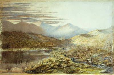 Pukakijärvi, Uusi-Seelanti, 1872 tekijältä Nicholas Chevalier