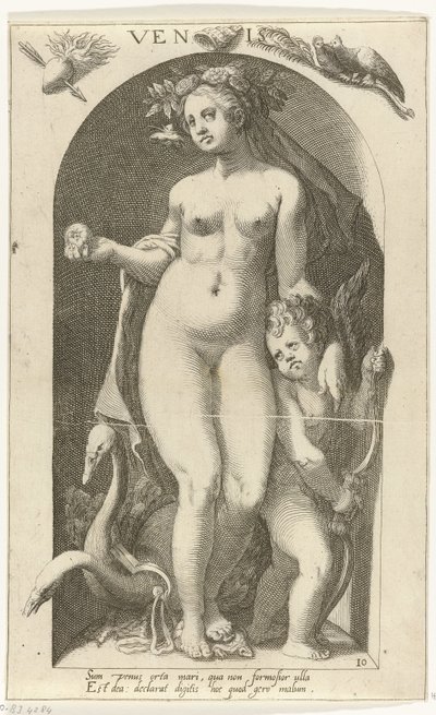 Venus Venis (otsikko esineessä) Ancient Gods (sarjan nimi) tekijältä Nicolaas Braeu