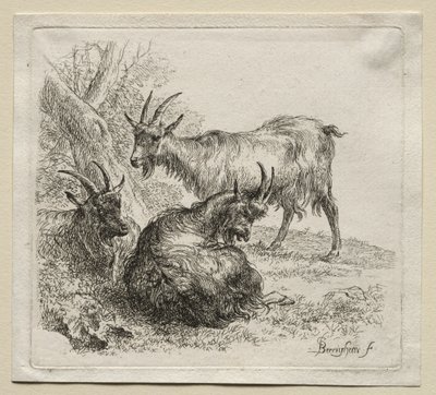 Animalia: Kolme vuohet tekijältä Nicolaes Berchem