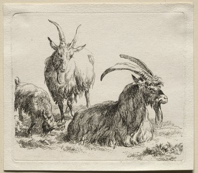 Animalia: Kolme vuohet tekijältä Nicolaes Berchem