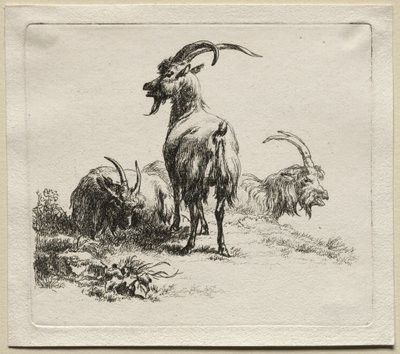 Animalia: Kolme vuohet tekijältä Nicolaes Berchem