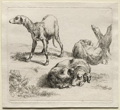 Animalia: Kolme metsästyskoiraa tekijältä Nicolaes Berchem