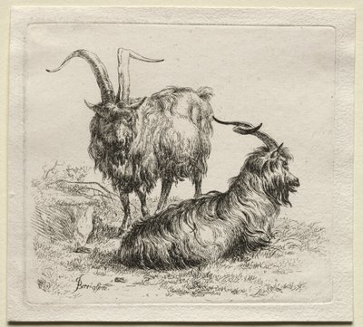 Animalia: Kaksi vuohet tekijältä Nicolaes Berchem
