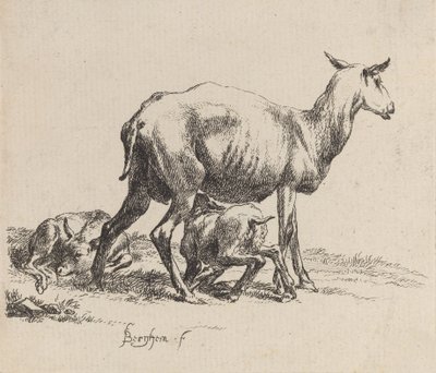 Ewe Nursing Her Lamb. tekijältä Nicolaes Berchem