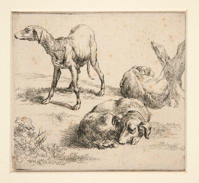 Kolme metsästyskoiraa (alkaen tekijältä Nicolaes Berchem