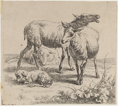 Kolme lammasta ja lammas. tekijältä Nicolaes Berchem