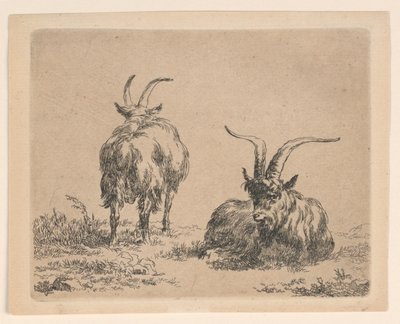Kaksi vuohetta tekijältä Nicolaes Berchem