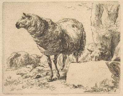 sarjasta The Set of Sheep. tekijältä Nicolaes Berchem