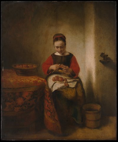  tekijältä Nicolaes Maes