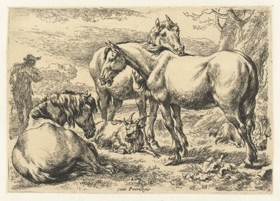 Kolme hevosta Eläimet (sarjan nimi) tekijältä Nicolaes Pietersz Berchem