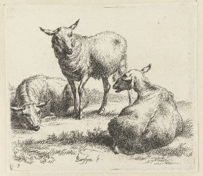 Kuivaa lampaat Schapen (sarjan nimi) Studio and Art of Nicolai Berchem (sarjan nimi) herättää elämään ja painaa veteen voimakkaalla ilmalla eläimet tekijältä Nicolaes Pietersz Berchem
