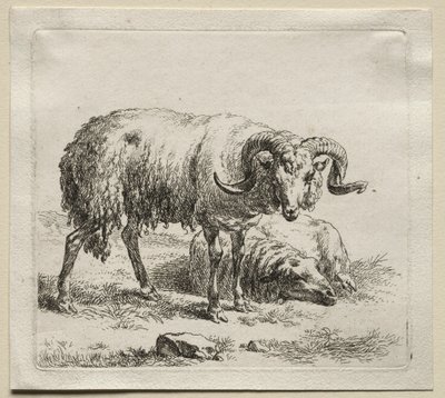 Oinas ja lampaat. tekijältä Nicolaes Pietersz. Berchem