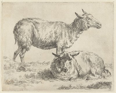 Staand en liggend schaap Schapen (sarjan nimi) Studio and Art of Nicolai Berchem (sarjan nimi) herättää elämään ja painaa veteen voimakkaalla ilmalla eläimet tekijältä Nicolaes Pietersz Berchem
