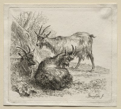 Kolme vuohetta. tekijältä Nicolaes Pietersz. Berchem