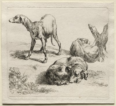 Kolme metsästyskoiraa. tekijältä Nicolaes Pietersz. Berchem