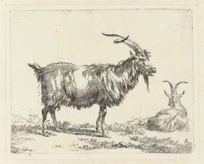 Kaksi vuohta Geiten (sarjan nimi) Studio and Art of Nicolai Berchem (sarjan nimi) herättää elämään ja painaa veteen voimakkaalla ilmalla eläimet tekijältä Nicolaes Pietersz Berchem
