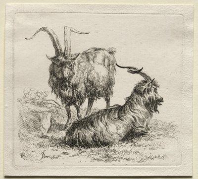 Kaksi vuohetta. tekijältä Nicolaes Pietersz. Berchem