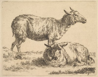 sarjasta The Set of Sheep. tekijältä Nicolaes Pietersz. Berchem