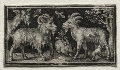 Vuohet ja jänis, 1594. tekijältä Nicolaes de Bruyn