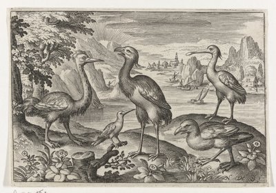 Crown Crane kahden strutsin välissä Linnut ja hyönteiset (sarjan nimi) tekijältä Nicolaes de Bruyn
