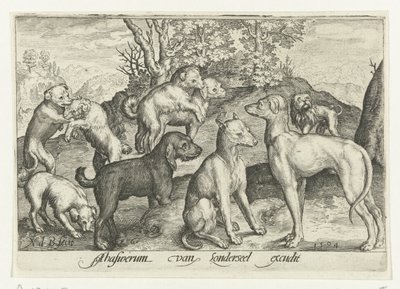 Yhdeksän koiraa Animalivm qvadrvpedvm (sarjan nimi) Eläimet maisemissa (sarjan nimi) tekijältä Nicolaes de Bruyn