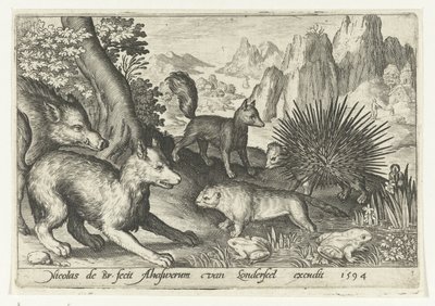 Villisika, kettuja, majava, piikki ja sammakot Animalivm qvadrvpedvm (sarjan nimi) Eläimet maisemissa (sarjan nimi) tekijältä Nicolaes de Bruyn