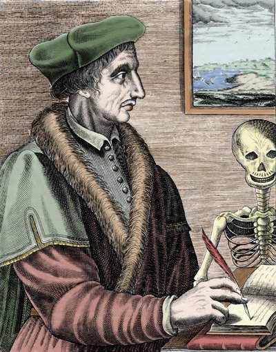 Jean Fernel (1497-1558), ranskalainen tähtitieteilijä, matemaatikko ja lääkäri. tekijältä Nicolas II de Larmessin