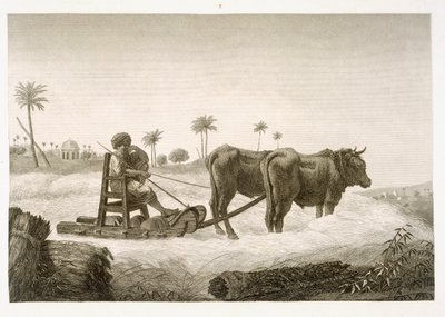 Maissin korjuu, teoksen "Egyptin kuvaus" niteestä II Arts and Trades, julkaistu Napoleonin käskystä vuonna 1822. tekijältä Nicolas Jacques Conte