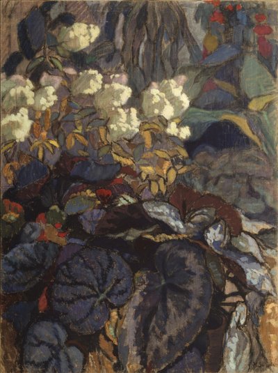 Kukat, 1911 tekijältä Nikolai Semyonovich Zaytsev