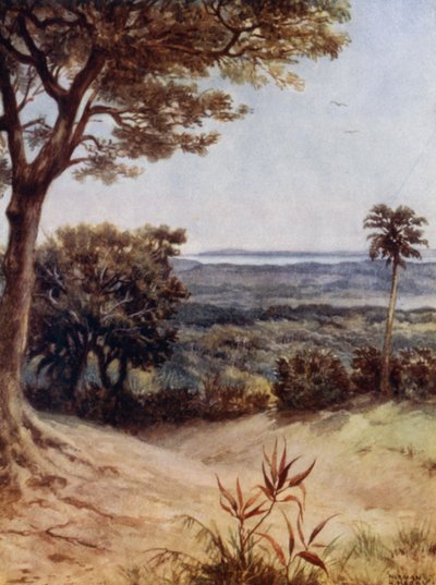 Havannah Harbour, Rathmoy, New Hebrides (väri litho) tekijältä Norman Hardy