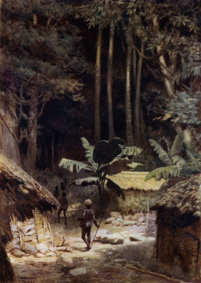 Alkuaikaisen metsän reunalla, Salomonsaaret (väri litho) tekijältä Norman Hardy