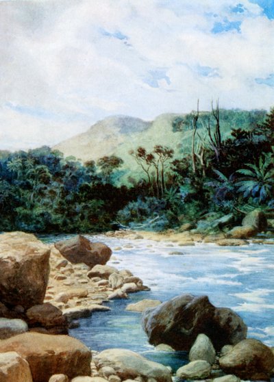 Maisema Eromangassa, Uusilla Hebrideillä, 1908 tekijältä Norman Hardy